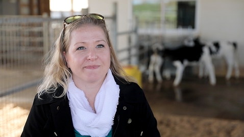 Thumbnail for Improving the odds for dairy calves