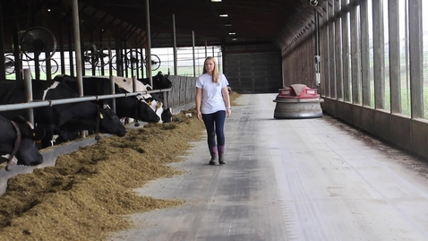 Thumbnail for Hillside Farm, Laura Flory '08