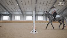 Go to Indoor arena helps clinician solve mysterious lameness in competitive horse with duration: 5 minutes, 37 seconds