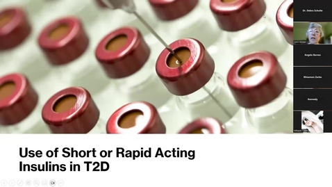 Thumbnail for Rapid and Short-Acting Insulin in Type 2 Diabetes by Lorri Strider, APRN