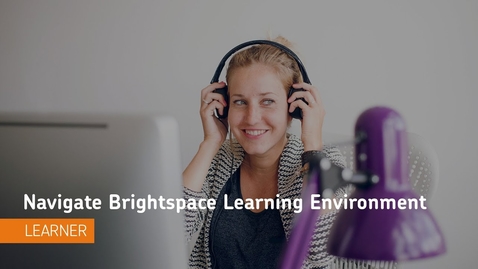 Thumbnail for  Navigating the D2L Environment