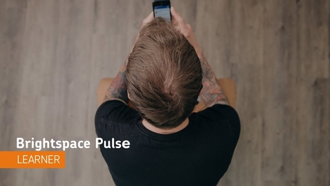 Thumbnail for Brightspace Pulse - Navigation