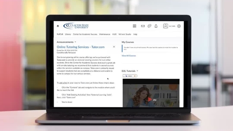 Thumbnail for D2L - Daylight Overview