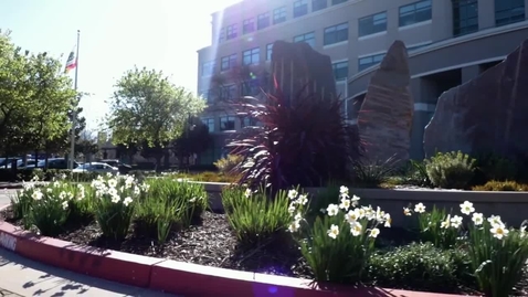 Thumbnail for Cisco Collaborative Workplace