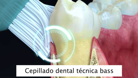 Miniatura para Cepillado dental técnica bass
