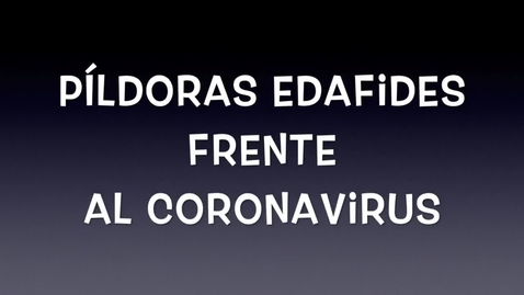 Miniatura para PÍLDORAS EDAFIDES frente al CORONAVIRUS. No 4. Recomendaciones desde nuestra investigación (II)