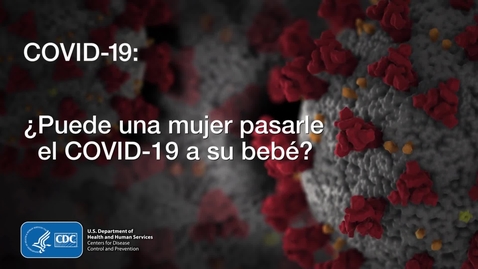 Miniatura para la entrada COVID-19 - ¿Puede una mujer pasarle el COVID-19 a su bebé