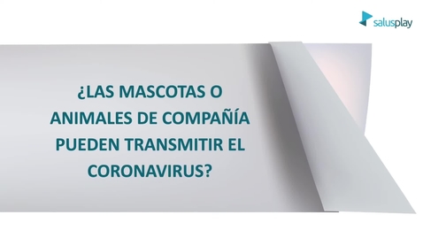 Miniatura para ¿Las mascotas o animales de compañía transmiten el Coronavirus?
