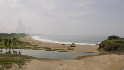 Miniatura para virgin-lonely-beach-with-a-palapa-1958