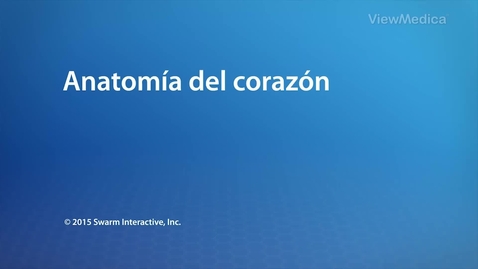 Miniatura para Anatomía del corazón