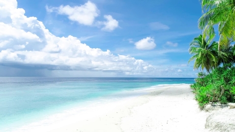 Miniatura para white-sand-beach-and-palm-trees-1564