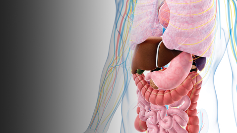 Thumbnail for 7th Annual Exploring Frontiers in the Management of Digestive and Liver Disorders  - 08.19.22
