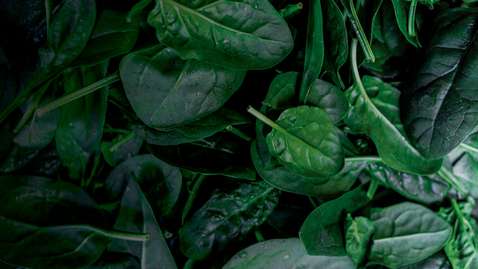 Thumbnail for Treating and Preventing Chronic Metabolic Disease: 02.12.22