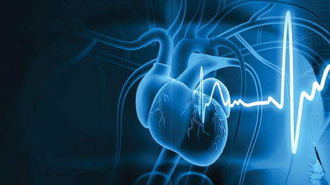 Thumbnail for entry George P. Noon Conference: Durable Mechanical Support: The Future of Cardiac Replacement - 11.11.21