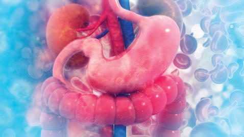 Thumbnail for 01- Fundoplication App: Geometry Fundoplication Application Video Tutorial by Patrick R. Reardon, MD