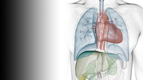 Thumbnail for entry George P. Noon Conference - Advanced Lung Disease and Lung Transplant Symposium - 11.06.23