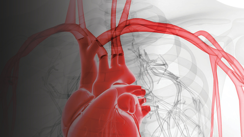 Thumbnail for Cardiovascular Disease Prevention Symposium - 10.08.22