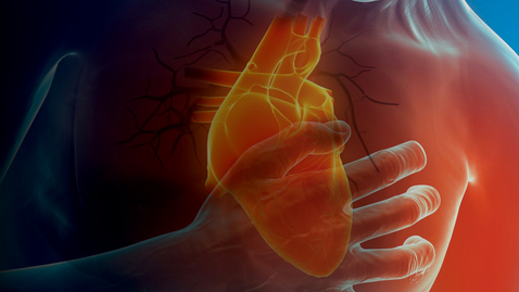 Thumbnail for 7th Annual Houston Heart Failure Summit