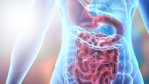 Thumbnail for Is There a Best Diet for Patients with IBD? - 09.23.21