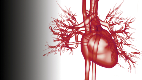 Thumbnail for 8th Annual Houston Heart Failure Summit - 02.04.23