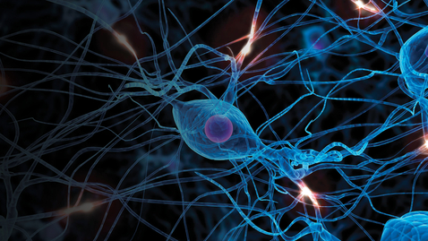 Thumbnail for 17th Annual Advances in Neurology Symposium - Day 2 - 09.14.24