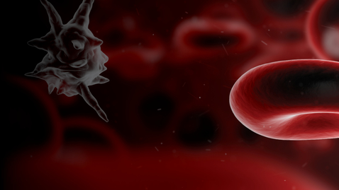 Thumbnail for Houston Methodist Sepsis Symposium 2021 - 09.17.21
