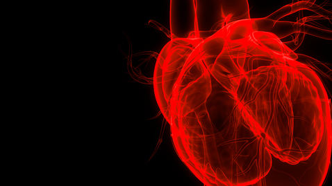 Thumbnail for CVD Prevention Symposium 10.09.21