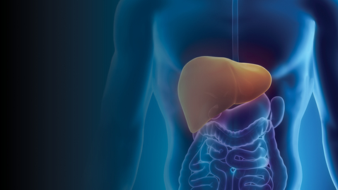 Thumbnail for Emerging Topics in Liver Disease: Innovative Trends in Liver Health 2023 - 08.12.23