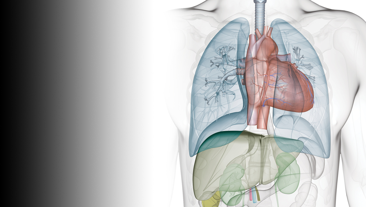 2nd Annual Bradley Z. Naifeh Amyloidosis Conference - Medical Professional Conference  - 03.01.24
