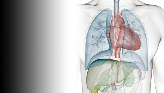 2nd Annual Bradley Z. Naifeh Amyloidosis Conference - Medical Professional Conference  - 03.01.24