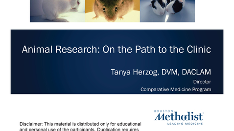Thumbnail for 07- Moving from Basic Research to GLP Safety Studies 09.01.21