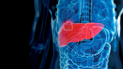 Thumbnail for 2021 Emerging Topics in Liver Disease Conference - 08.28.21