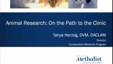 Thumbnail for 07- Moving from Basic Research to GLP Safety Studies 09.09.20