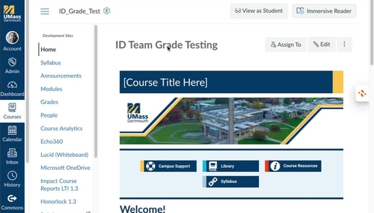 Adding Zoom to Your Canvas Menu