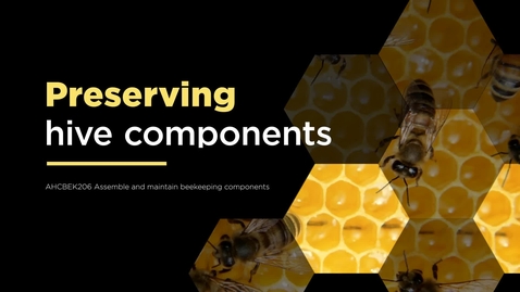 Thumbnail for Preserving hive components