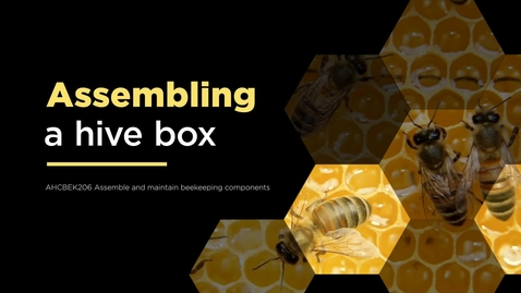 Thumbnail for Assembling a hive box