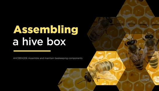 Assembling a hive box