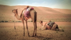 Go to Governance and Resilience with duration: 6 minutes, 33 seconds