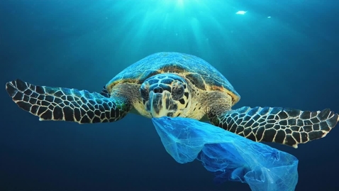 Thumbnail for Ocean Plastic: Where Is It?