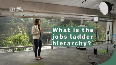 Thumbnail for What is the jobs ladder hierarchy?