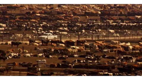 Thumbnail for Sustainable Farming Systems Under Environmental Constraints