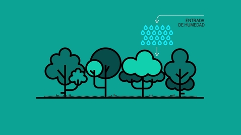 Thumbnail for Water dynamics in the Amazon