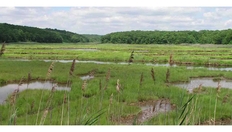 Go to Marine Ecosystem Change and Services with duration: 11 minutes, 26 seconds