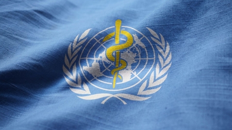 Thumbnail for The institutional and organizational role of the WHO and global controversies