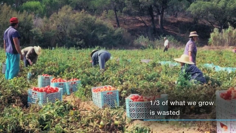 Thumbnail for Urban Agriculture for Sustainable Cities