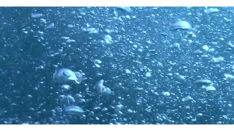 Thumbnail for Submarine Landslides and Tsunamis
