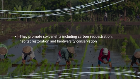 Thumbnail for EbA and Agriculture