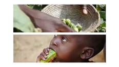Go to Early Child Development in Culture and Context with duration: 6 minutes, 16 seconds