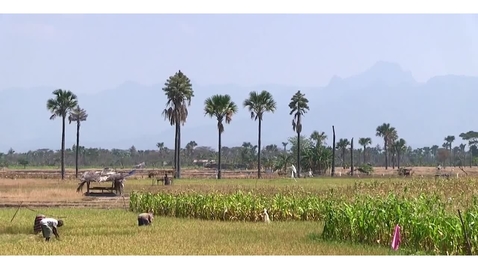 Thumbnail for Protected Area Management I