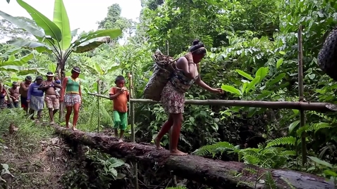 Thumbnail for Strengthening Land and Natural Resource Governance